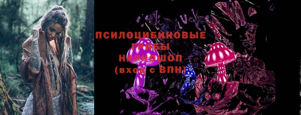 PSILOCYBIN Алексин