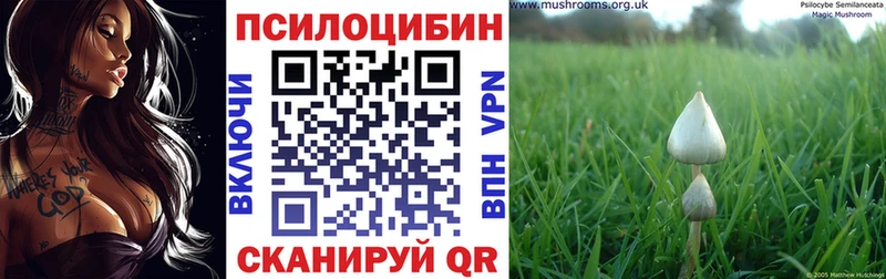 даркнет формула  Малоархангельск  Псилоцибиновые грибы Psilocybine cubensis  цены   кракен маркетплейс 